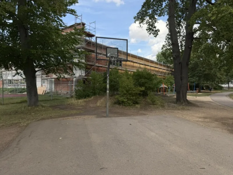 Freiplatz am LÖWENPARK