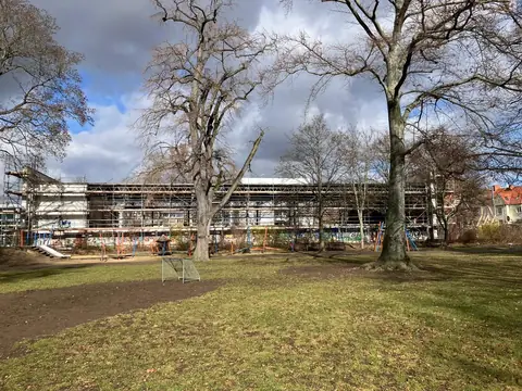 Baustelle mit Bäumen im Vordergrund