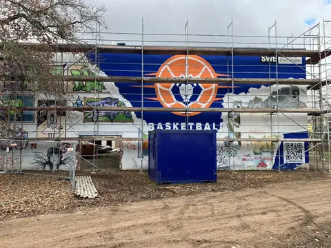 Basketball-Löwen-Grafik an der Fassade