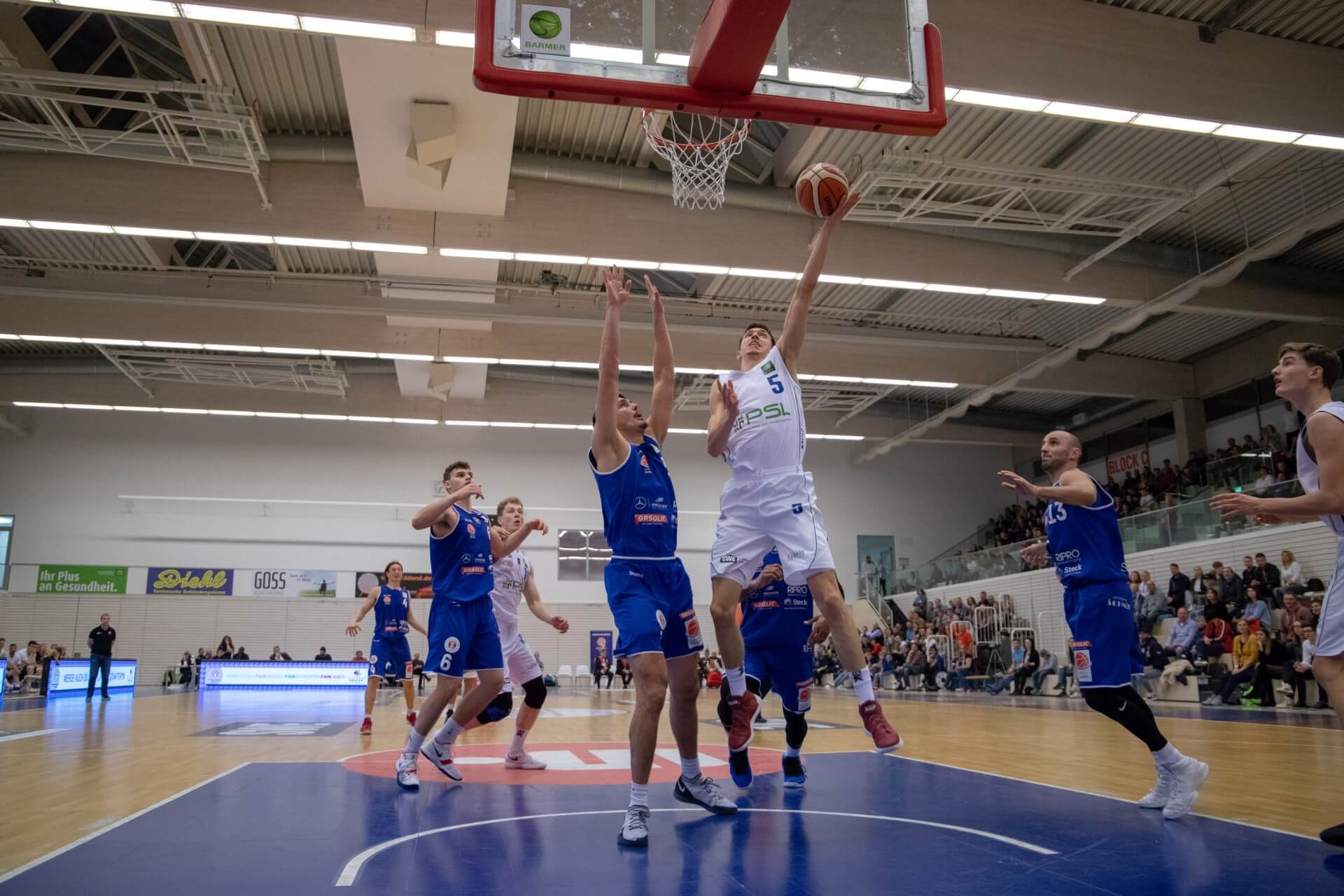 Basketball Löwen Vs scanplus baskets Elchingen