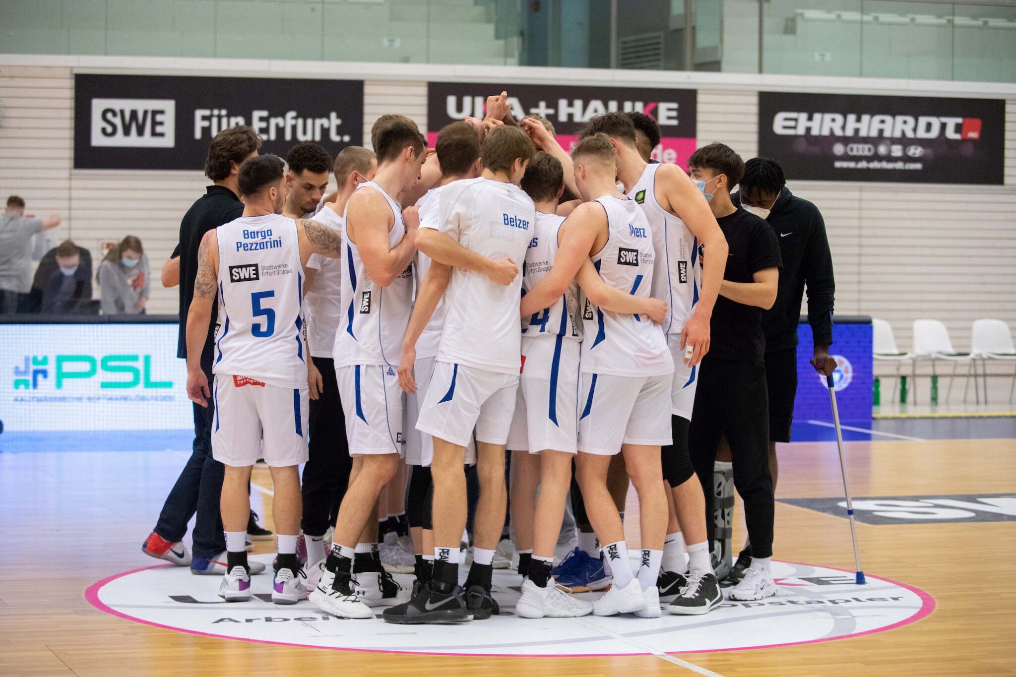 Dresden Titans Basketball Löwen